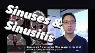 Sinuses Sinusitis Sinus Surgery Overview  what are sinuses what do they do how do we treat them [upl. by Esirahc795]