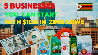 5 Businesses You Can Start With US100 In Zimbabwe [upl. by Odlanier973]