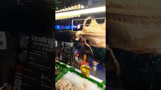 🐊 Гену сожрали 🌍 🇹🇭 travel streetfood bangkok [upl. by Carlin]