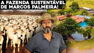 A FAZENDA MILIONÃRIA E AUTOSUSTENTÃVEL DE MARCOS PALMEIRA [upl. by Hunger54]