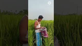 mote khaiya matal oise Bangla shorts video comedy like comedy funny comedy [upl. by Mara304]