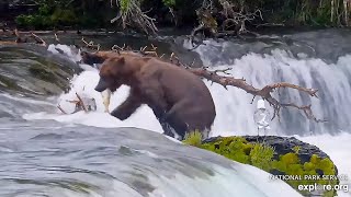 12 Jul 2024 88 Finds Fish Under the Falls exploreorg [upl. by Kirt]