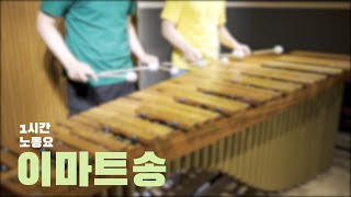 1시간 반복재생 이마트송노동요 Feat sake L  Pulse Marimba Cover [upl. by Nashoma]