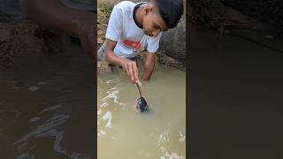 Attractive Unique Hand Fishing Challenge Video😲fishinghandfishingshorts [upl. by Pepi712]