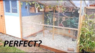 Building The Perfect Aviary [upl. by Maurili]