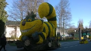 Fête des Jonquilles 2017 de Gérardmer [upl. by Goldner811]