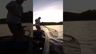 Lake Chickamauga 7 lb largemouth bassfishing chickamauga [upl. by Aimil]