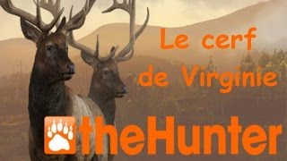 The Hunter  Episode 1  Le cerf de Virginie [upl. by Somar]