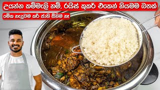 උයන්න කම්මැලිනම් මෙන්න නියම විසදුම  Delicious Rice in Rice Cooker  Easy Rice Recipe [upl. by Enyala]