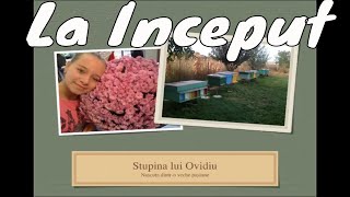 Stupina lui Ovidiu BEE VLOG 2 [upl. by Enidlareg16]