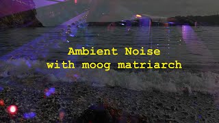 Ambient Noise ambientmusic moogmatriarch hardwarejam [upl. by Leak]