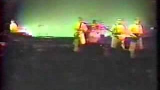 Devo  Mongoloid live RARE [upl. by Nnylarac]