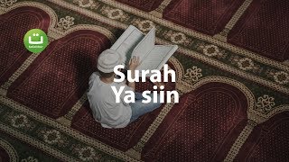 Surah Yasin Paling Merdu Full Ayat dan Terjemah  Tadabbur Daily [upl. by Knipe]