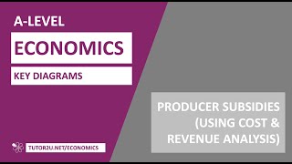 Key Diagrams  Producer Subsidies Supply and Demand Analysis [upl. by Zoara972]