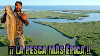 PESCA DE ROBALOS Y PARGOS EN UN MANGLAR [upl. by Nivart]