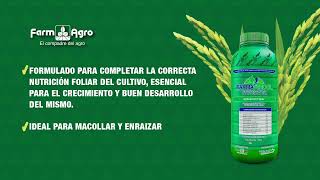 Cultivo de Arroz  Nutrición foliar [upl. by Kimon]