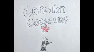 Canadian Goose Unit 3 Bluegrass Covers [upl. by Wilden591]