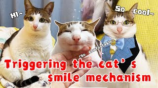 Humans trigger cats’ smile mechanism🐈😍cat cute cutecat smile bao pets [upl. by Aihsotan999]