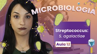 STREPTOCOCCUS Sagalactiae  Videoaula  Microbiologia  Flavonoide 12 [upl. by Roddy]