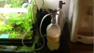 Up Aqua Aquarium Co2 Diffuser  The effect of DIY Co2 System Yeast  Sugar [upl. by Ailiec899]