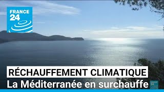 Canicule marine  les eaux de la Méditerranée toujours plus chaudes • FRANCE 24 [upl. by Atihana]