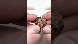 How to Find Garnets in Rivers gemsandminerals gemstone gemmology [upl. by Kcirreg]