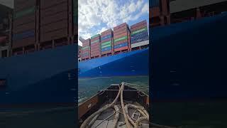 Giant COSCO SHIPPING STAR Loaded with Containers 🚢📦 shorts [upl. by Louisette]