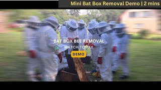 Bat Box Bee Removal  Commercial Bee Removal Highlights  beeremoval bees [upl. by Kiri]