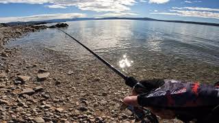 Seabass on Xorus Patchinko Adriatic Sea Crikvenica [upl. by Asilet]