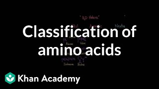 Classification of amino acids  Chemical processes  MCAT  Khan Academy [upl. by Arelus223]