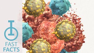 What is the Role of Cytotoxic T Cells in Antitumor Immunity  RETIRED [upl. by Lasyrc733]