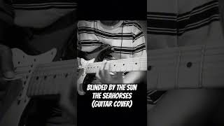 Blinded by the sun The SeahorsesGuitar cover [upl. by Janina]