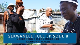 SEKWANELE  FULL EPISODE 8  USEKHATHELE INGODUSO KAMNGANI WAKHE USEYIBUYISELA EMUVA [upl. by Ettennyl]