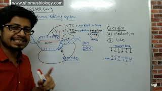 Crispr cas9 gene editing explained [upl. by Hildebrandt213]