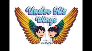 VBS 2024 UNDER HIS WINGS Promo 2 [upl. by Aniral942]