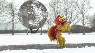 Queens Museum Chinese New Year Traditional and Hip Hop Lion Dance [upl. by Narda]