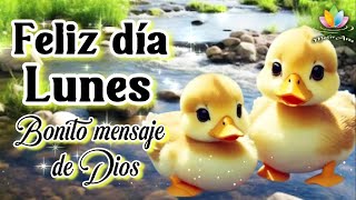 Feliz día Lunes Bonito Mensaje de Dios Buenos días lunes Lindas palabras Feliz semana motivarte11 [upl. by Yemarej]