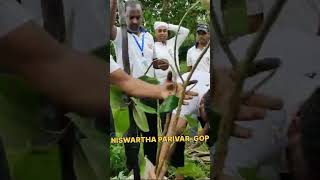 Tree PlantationNiswartha Parivar Gop treeplantation shortvideoviral shortvideo viralshorts [upl. by Ikcin807]