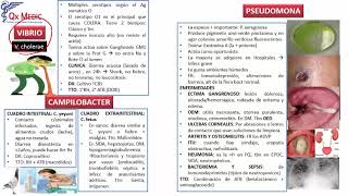 Infectología  3 RM19 DIA 1 INFECTOLOGIA FIEBRE TIFOIDEA de Qx Medic on Vimeo [upl. by Efioa]