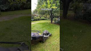 Freshly cut grass is the scent of a job well done Each stripe of the mower adds to the lawn’s charm [upl. by Halvaard]