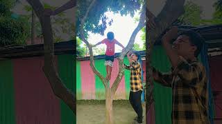 Kabutar ud raha 🤣🤣 comedy funny fun [upl. by Barrada]