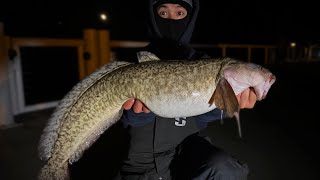 Catch and Cook Burbot Eating The Weirdest Fish of My Life [upl. by Hara]