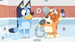 Se détendre  Série 3  Bluey Français Chaîne Officielle [upl. by Allcot]