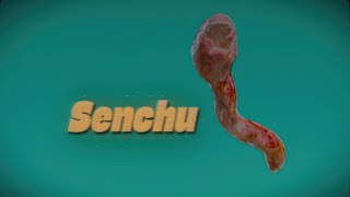 Senchu線虫  GamePlay PC [upl. by Wulfe]