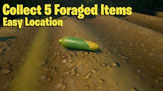 Where to Collect 5 Foraged Items in Fortnite  Hayseed Legendary Quest [upl. by Akcirred890]