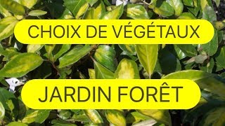 CHOIX DE VEGETAUX POUR JARDIN FORET COMESTIBLE ET MEDICINAL [upl. by Mcafee434]