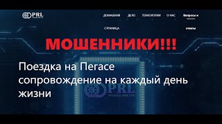 PEGASUS RIDE LTD  отзывы о проекте Мошенник [upl. by Ferree]