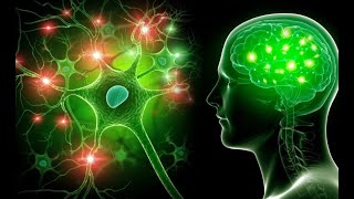 🧠✅El Cuerpo Humano El Sistema Nervioso  Explicación Fácil ✅🧠 [upl. by Llevaj]