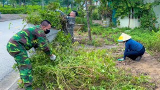 Revitalizing Sidewalks Our Journey to a WeedFree Community  Clear Up BN99 [upl. by Ponce]