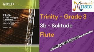 Trinity Technical  Flute  3b Solitude  Gr3 [upl. by Shute640]